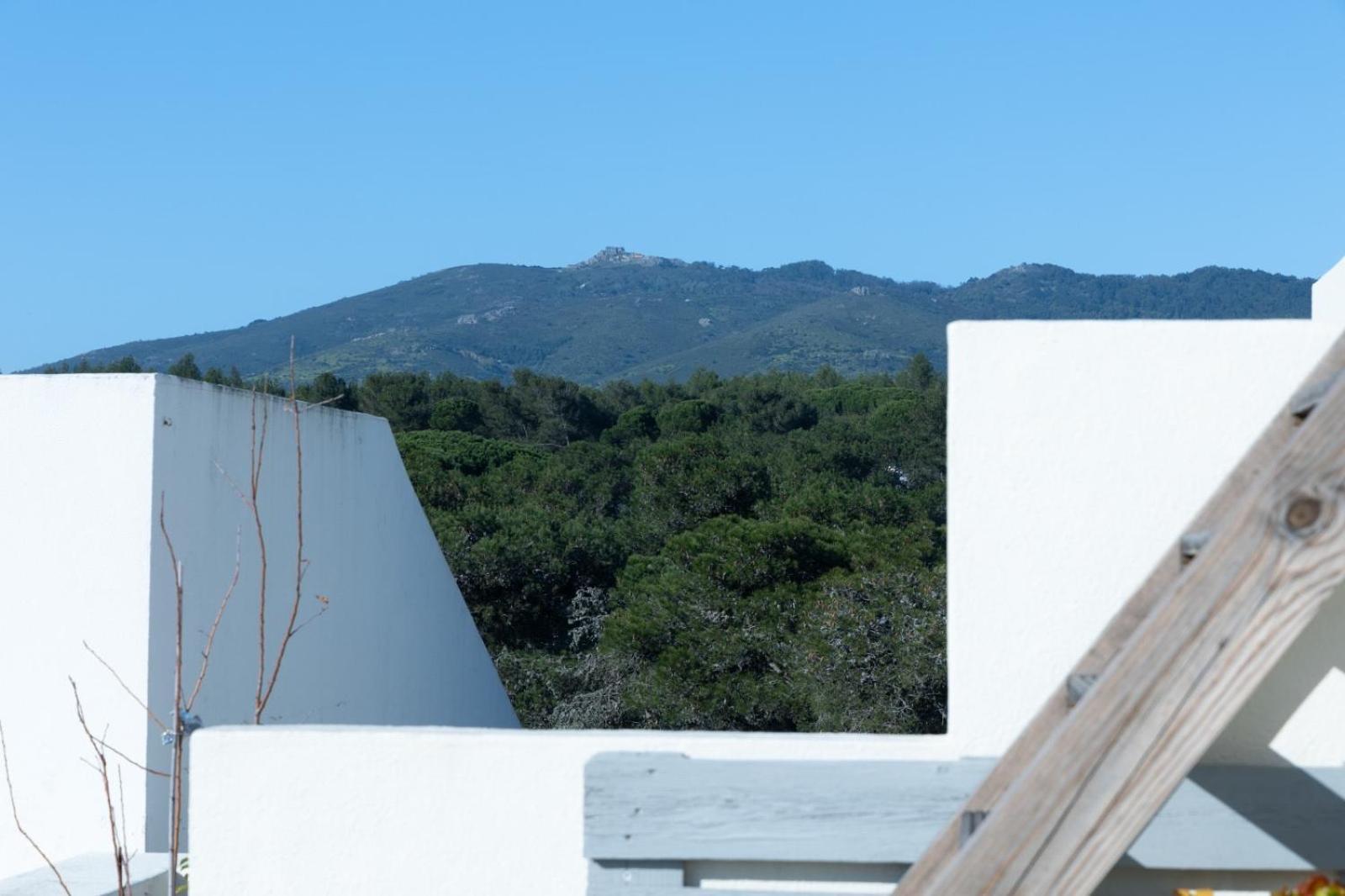Roots House Villa Cascais Bagian luar foto